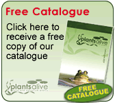 Click to get a free Plants Alive Catalogue full of great offers on Pond and Aquarium Plants